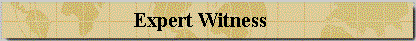 witness.gif (5741 bytes)